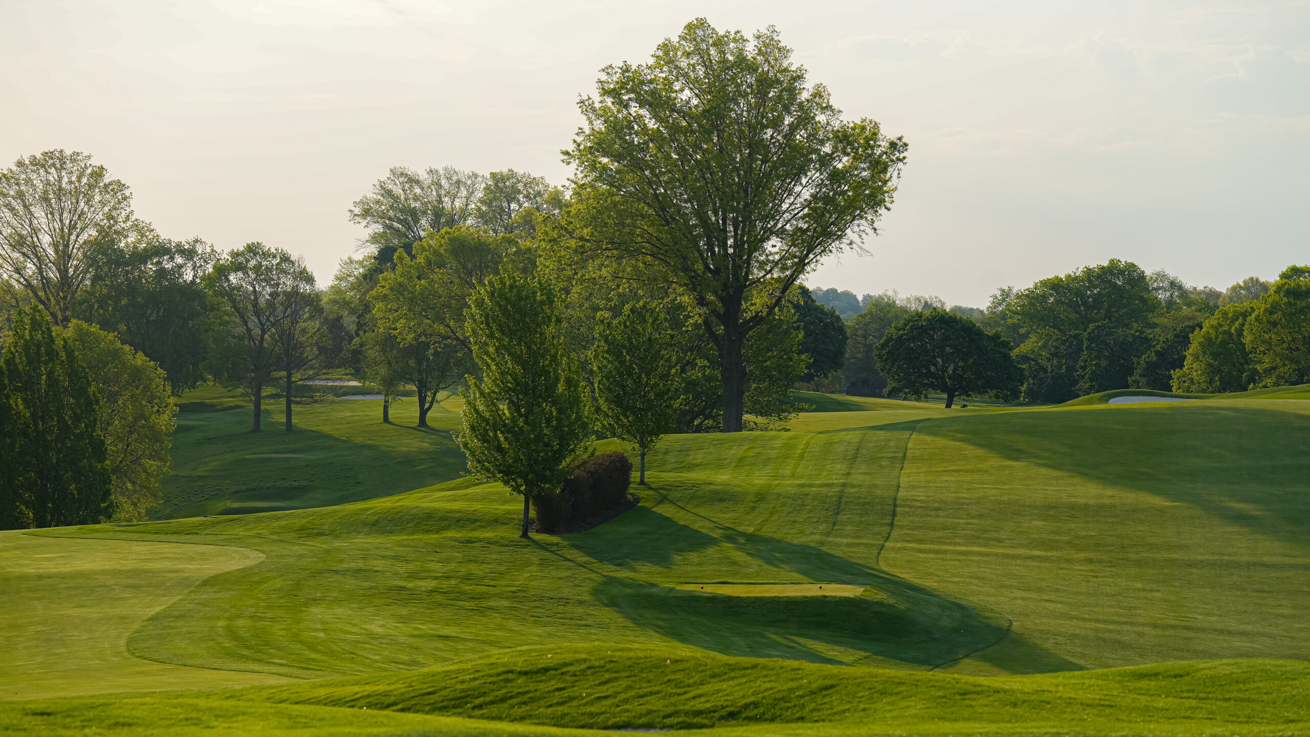 Shannopin Country Club