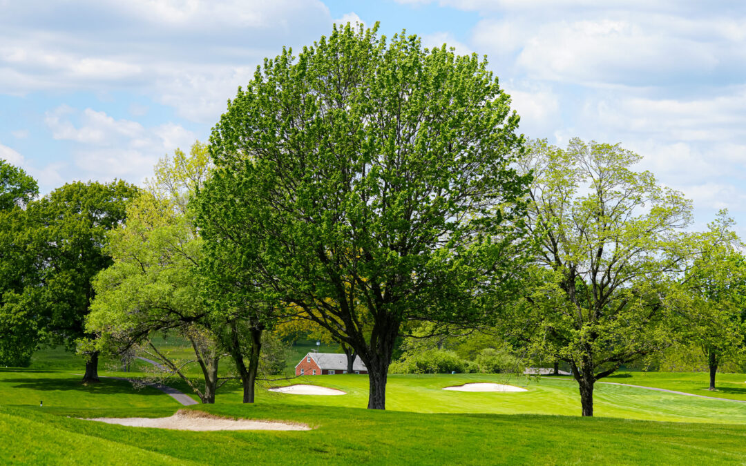 123rd WPGA Open Championship begins Monday at Willowbrook Country Club