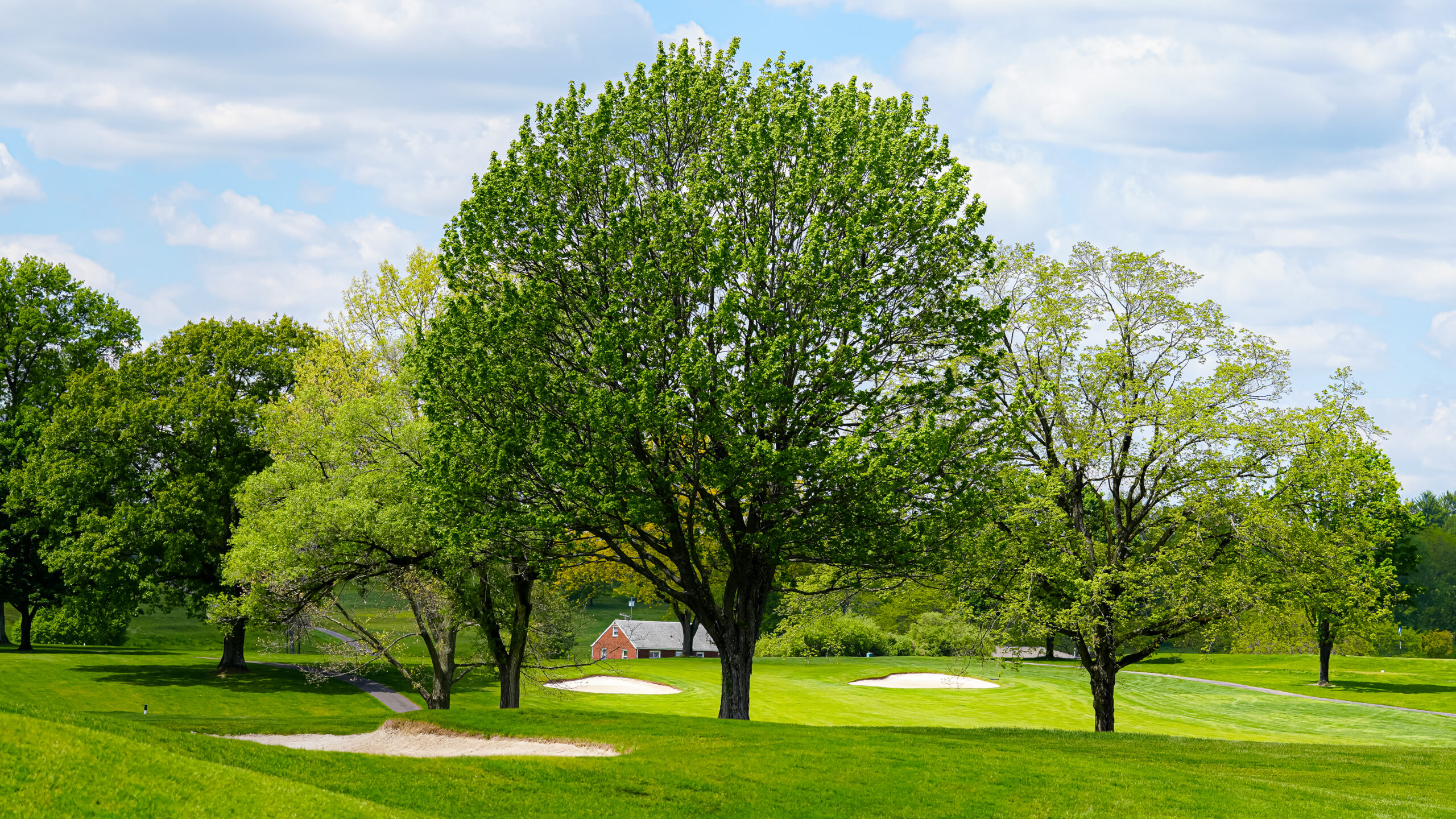 Willowbrook Country Club