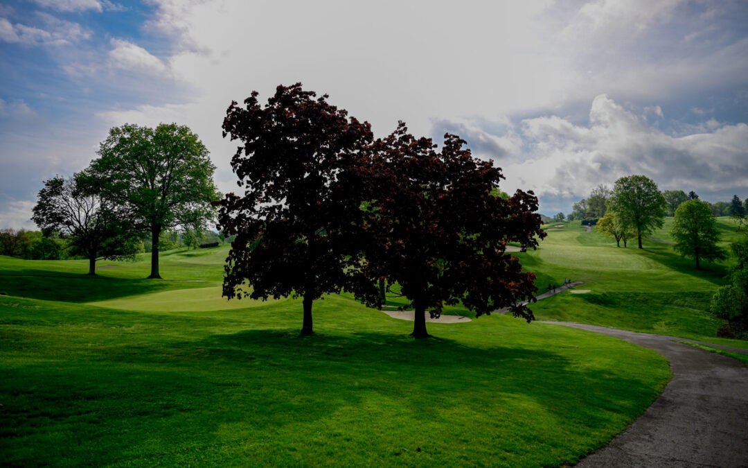 Trip to 81st U.S. Women’s Open on the line Tuesday at Shannopin