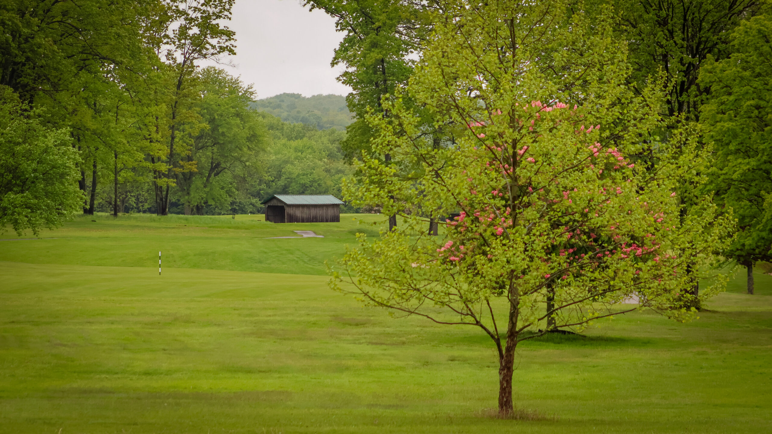 The Country Club of Meadville