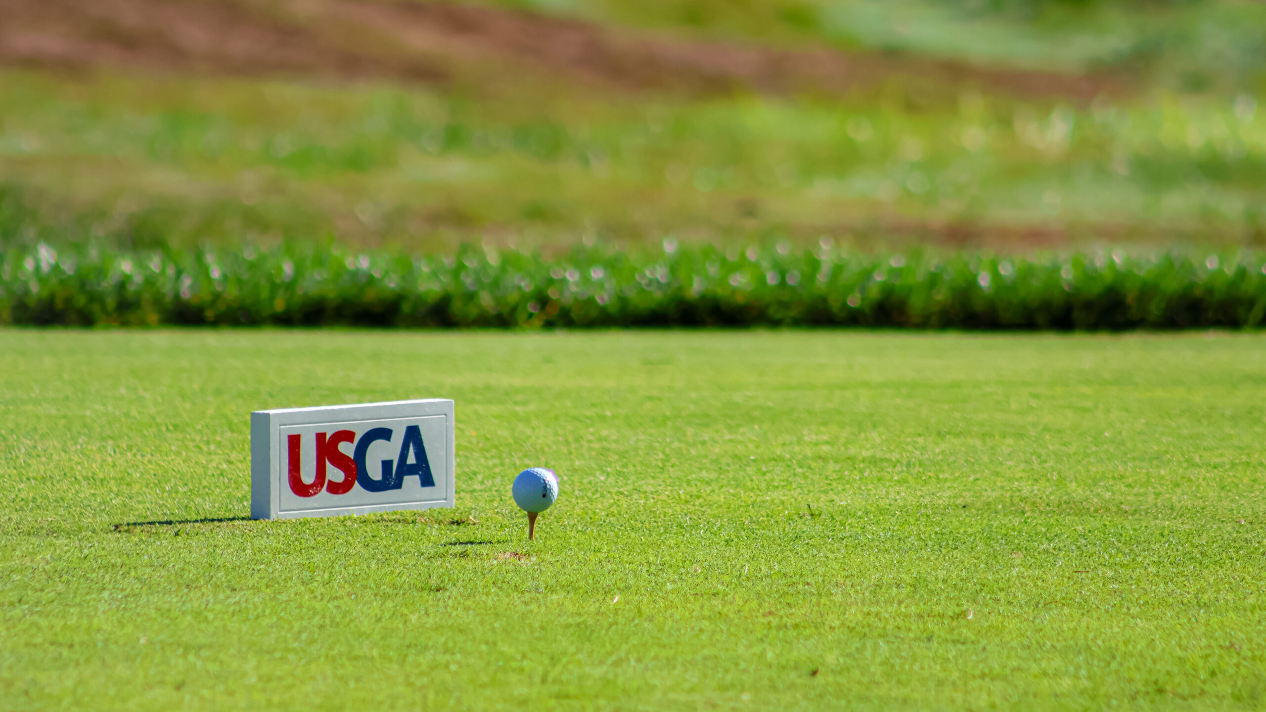 USGA tee marker