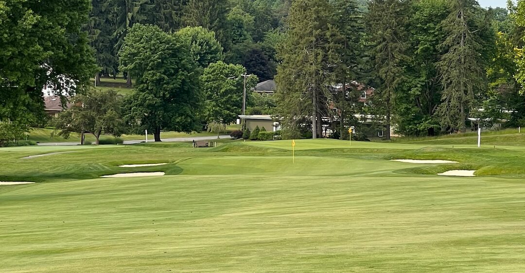 Shipley, Jackson near top of leaderboard